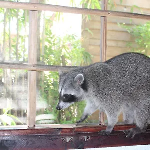 Close To The Town Utopia Apartment Isla Holbox